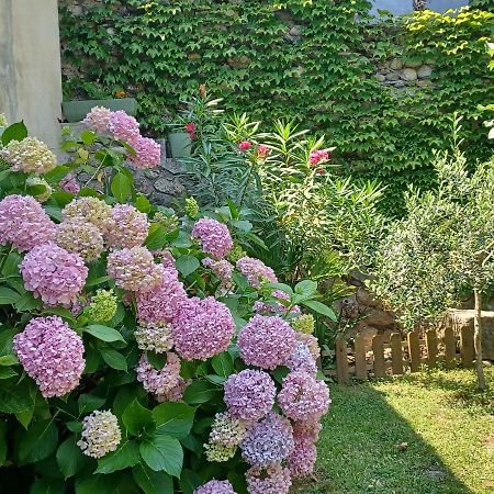 Les Glycines Bed and Breakfast Le Vigan  Εξωτερικό φωτογραφία